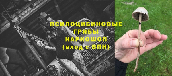 тгк Балахна