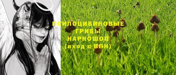 тгк Балахна