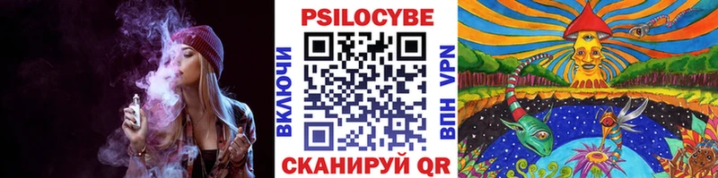 гидра ССЫЛКА  Городище  Псилоцибиновые грибы мицелий 