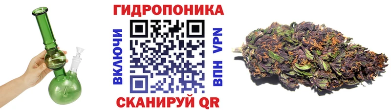 Конопля конопля  наркота  Городище 